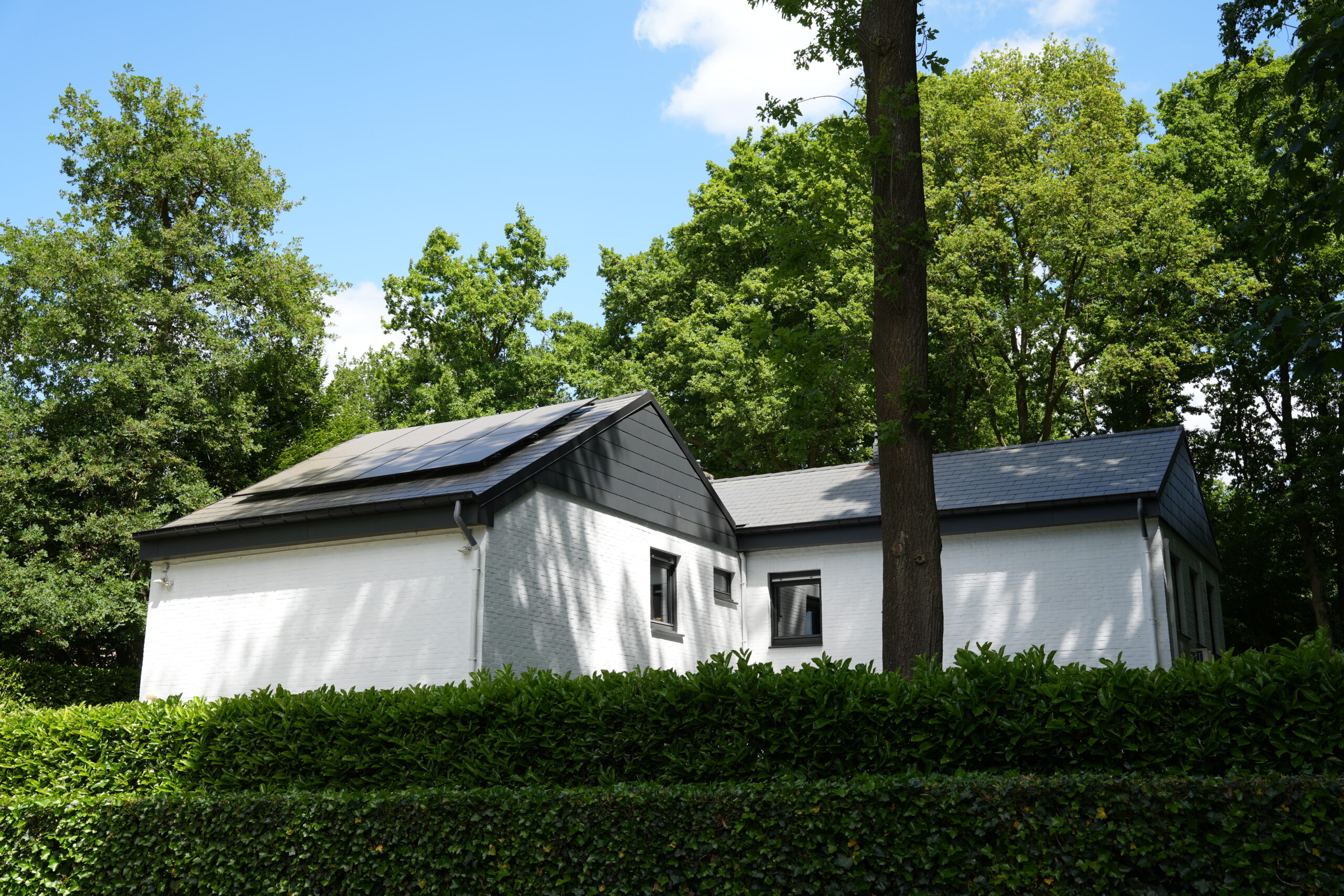 Dakwerken Essen, foto 8